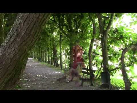 Dessertoppo - Život je ko film (OFICCIAL HD VIDEO) 2015