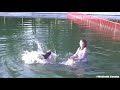 Meeting At The Pool