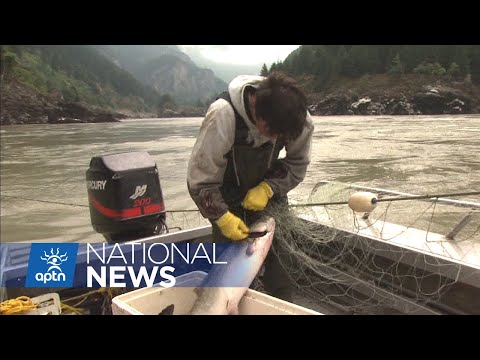 'Namgis First Nation goes to court | APTN News