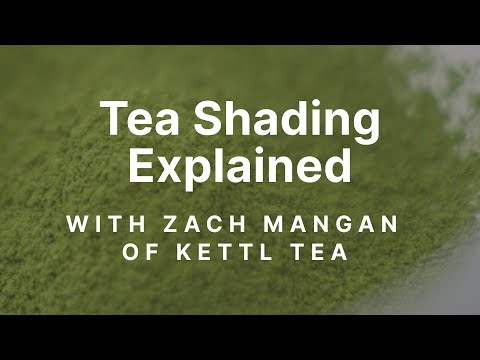 The Fellow Matcha Set | Tea Shading Explained