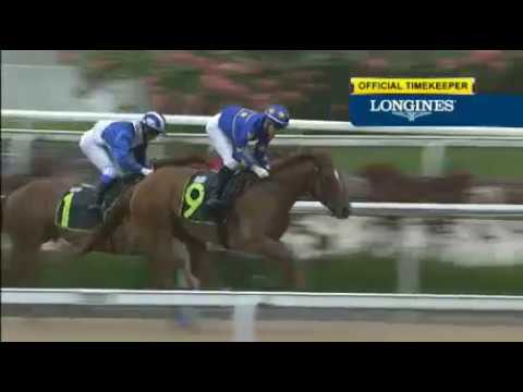 Singapore 20180204 race 6 LIM'S FORCE