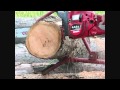 Ported Shindaiwa 446s Chainsaw