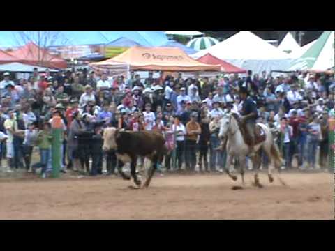 Final camionete / Alan e Thaian / Fazenda San Rafael - Coronel Vivida PR!