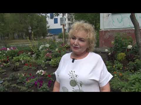 Бийчанка обустроила у подъезда суперцветник