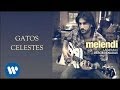 Melendi- Gatos celestes (audio) 