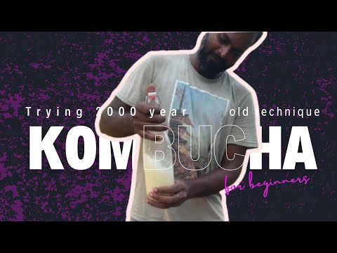 Do you know? Kombucha is 2000 year old technique.