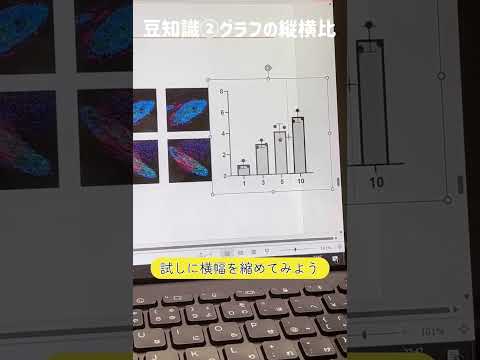 スライド作りの豆知識（１）