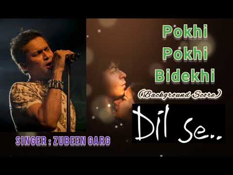 Pokhi Pokhi Bidekhi (Score) Cover