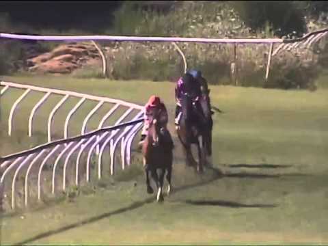 Galoppo 16/08/2014 - Corsa 6