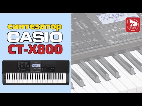 Обзор синтезатора Casio CT-X800