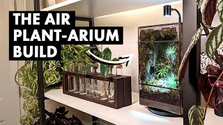 The Air Plant-arium Terrarium Build