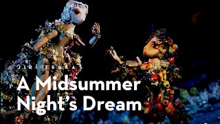 Sonhos de uma Noite de Verão