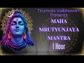 Powerful 1 Hour Maha Mrityunjaya Mantra Shiva Mrityunjayamantra Chanting Mantra