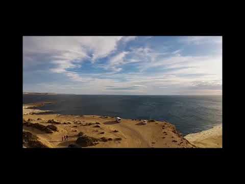 los gansos salvajes tan lejos