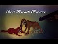 The Fox The Hound We Ll Be Friends Forever Won T We AMV