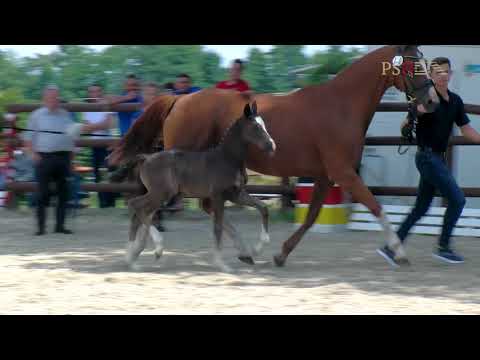10 Dantes Junior De Niro