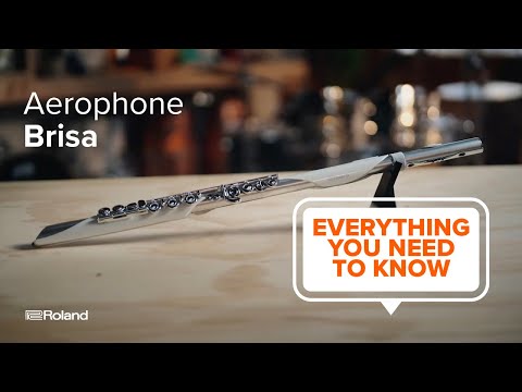 Roland Aerophone Brisa | Everything You Need to Know (Featuring Elena Pinderhughes)