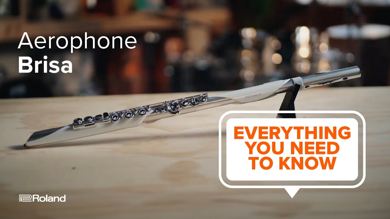 Roland Aerophone Brisa Digital Wind Instrument