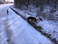 Borsko jezero - Mitya Kuznetsov - Golubi 