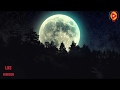 Jo Bhi Kasmein Khayi Thi By WhatsAppVidz