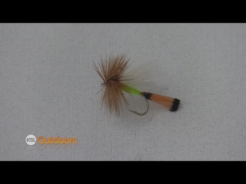 Fish Tech Fishing Tip: Attractor Patterns