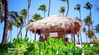 Occidental Punta Cana Video - STSTravel