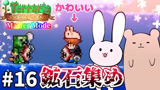 【Terraria】めちゃくちゃ可愛い神アイテム手に入れました Master mode #16【Journey's End/ゆっくり実況】
