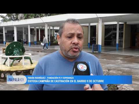 Exitosa campaña de castración en el barrio 11 de Octubre de Palpalá