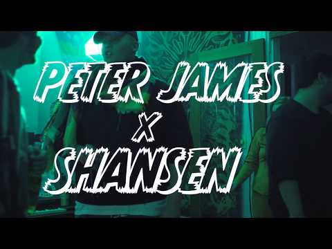 SHANSEN ft. Peter James - Fly Away