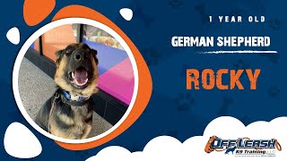 Download Lagu Best German Shepherd Dog Training | Marina, CA | Rocky Thumbnail