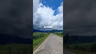 Download lagu Wujute roso#banyuwangi #song #songs #oseng #storywa#demy mp3