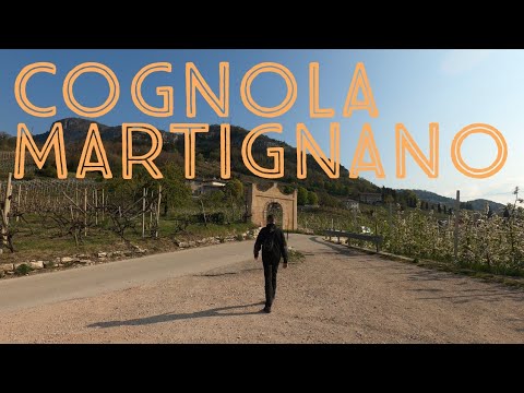 COGNOLA - MARTIGNANO (passando per le pendici del Monte Calisio)