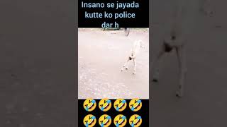Ye kis ka kutta hai bhai#funny dog whatsapp status #comedy video #shorts