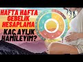 Gebelik hesaplaması nasıl yapılır? | Hafta hafta gebelik hesaplama takvimi | Hamile TV