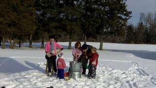 Miss Fogarty&#39;s Christmas Cake : vogelJoy