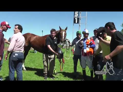 TODAS LAS CARRERA   DE VILLA ELISA