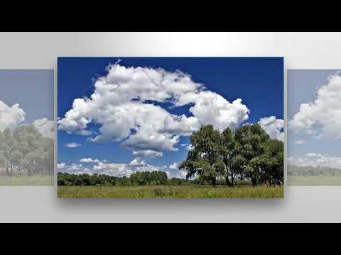 Aleksandar Trandafilović   Poletela sojka ptica