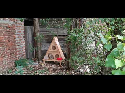 Kako je grad Koprivnica uzurpirao zemljište.