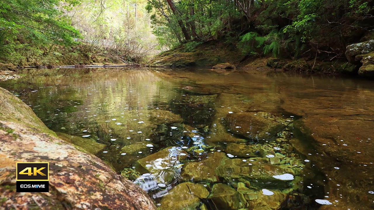 ４K映像と共に耳に優しい水音を聴きながらリラックスする