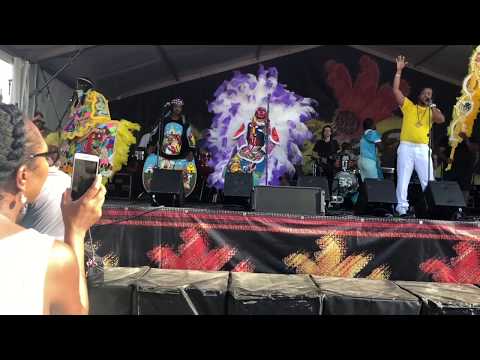 Jazz Fest 2019 Bo Dollis Jr and The Wild Magnolias - Conga Solo