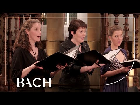 Bach - Cantata Herz und Mund und Tat und Leben BWV 147 - Creed | Netherlands Bach Society