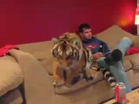 NOooooo ! SeRIOUSYLyy../