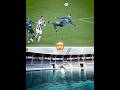 Dolphin Recreated Ronaldo S Bicycle Kick
