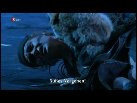 Götterdämmerung (16/19) - Wagner, "Ring" Akt III - Siegfried's Tod - Valencia 2008