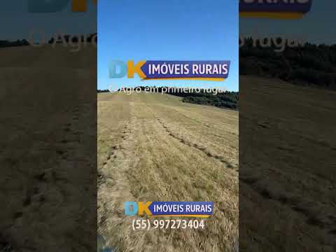 🚜 Arrendamento Rural no RS | Áreas de 200 a 4.500 Hectares 🌾