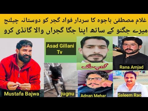 Very Good Friendly Challenge To Sardar Fawad Gujjar From Ch Ghulam Mustafa Bajwa Very Good Video