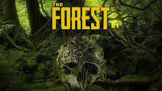 The Forest, Whole stream #1