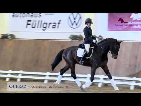 Queraz v. Quaterback - Desperados - Sandro Hit