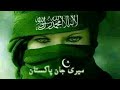 Dil Dil Pakistan Mili Naghma Tribute Pakistan Happy Independence Day Song 14th August 20