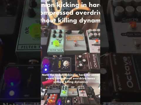 Gnarly bass tones! #bass #guitarpedals #pedalboard